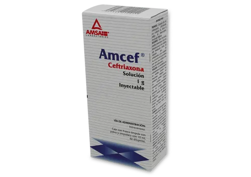 Amcef Fa 10Ml 1G Iv Ant