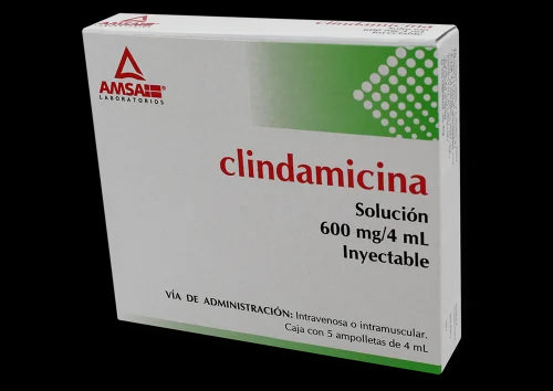A.M Clindamicina A5 4Ml 600Mga