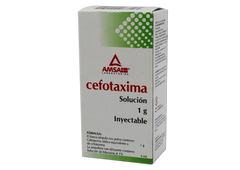 Cefotaxima Sol Iny1G 4Ml Amslg