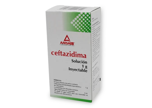 Ceftazidima 1G Si Fa 3Ml Ams