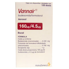 Vannair 160/4.5Mcg Aer 120Dosi