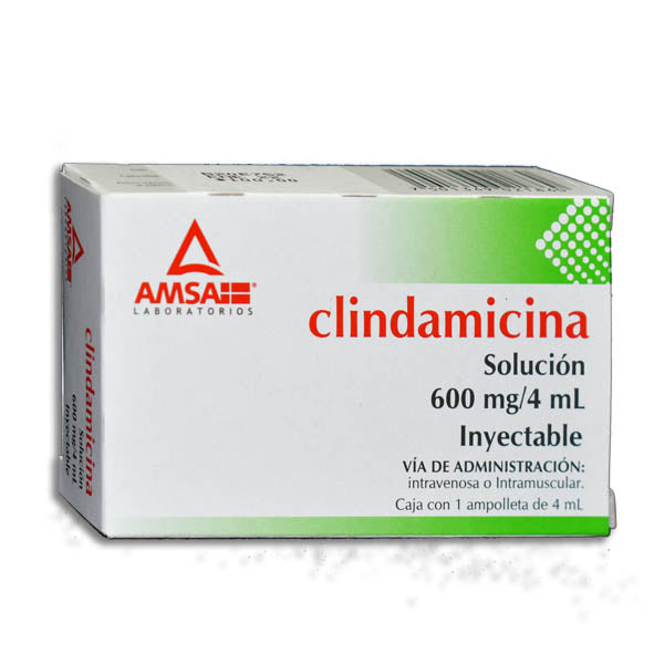 Clindamicina 600 Iny Amsa Nvo