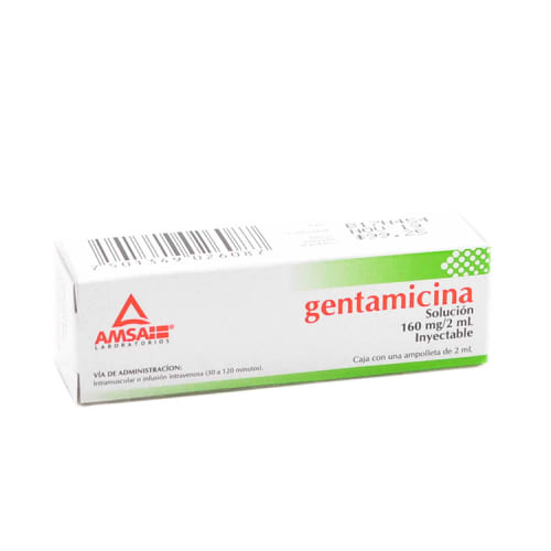 Gentamicina Iny160c/1 Nvoamsa